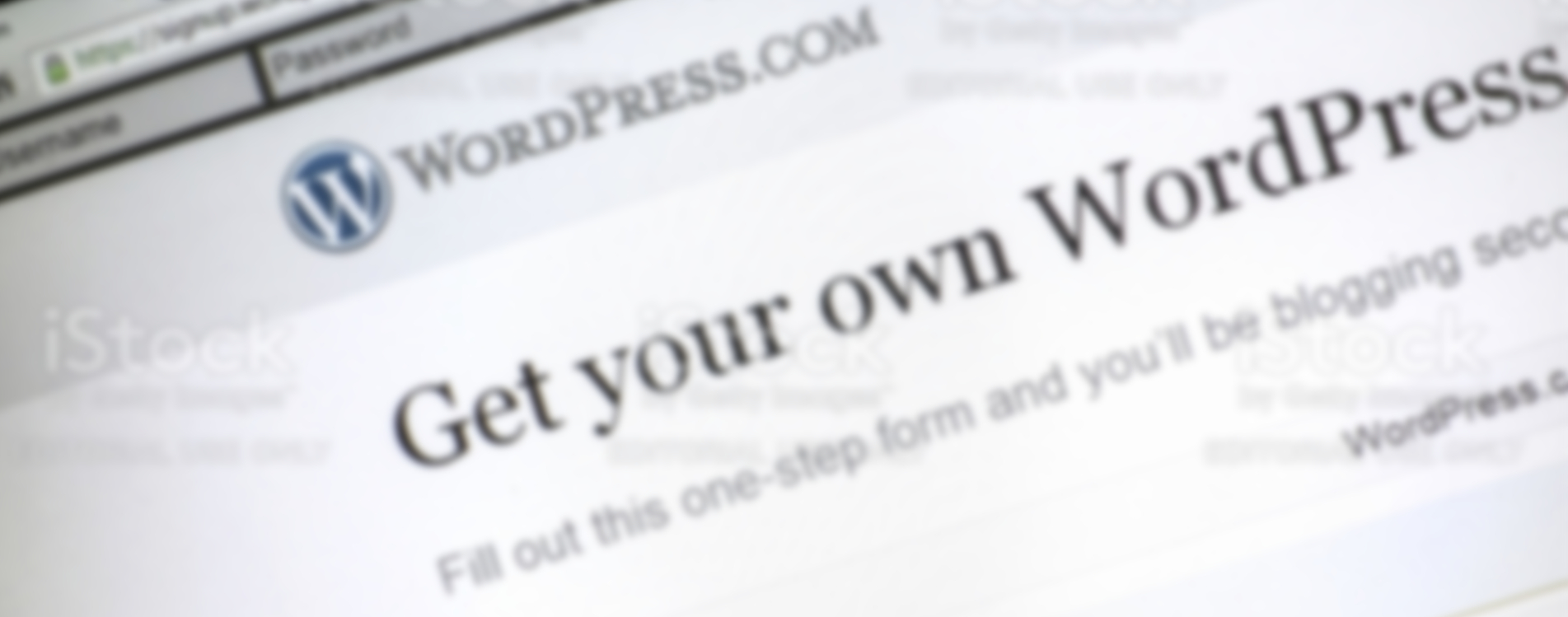 Description About Wordpress Development
