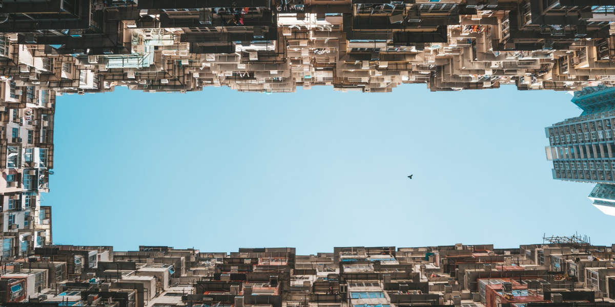 view of buildings with a bird flying